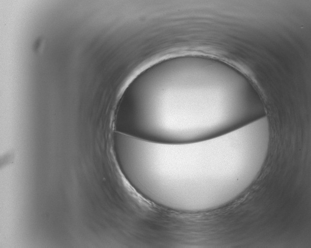 X0000080131524200612221844