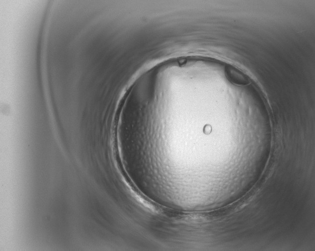 X0000080131525200612221844