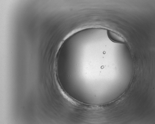 X0000080131526200612221844