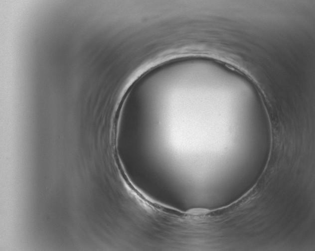 X0000080131527200612221844