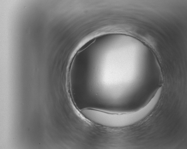 X0000080131528200612221844