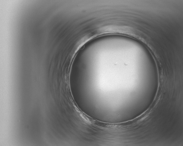 X0000080131529200612221844