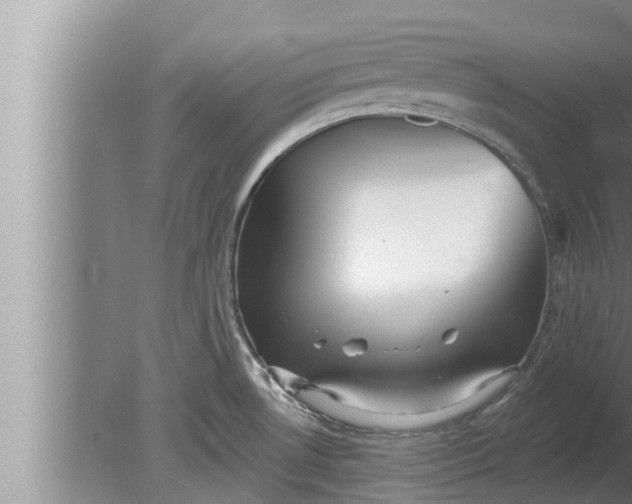 X0000080131530200612221844