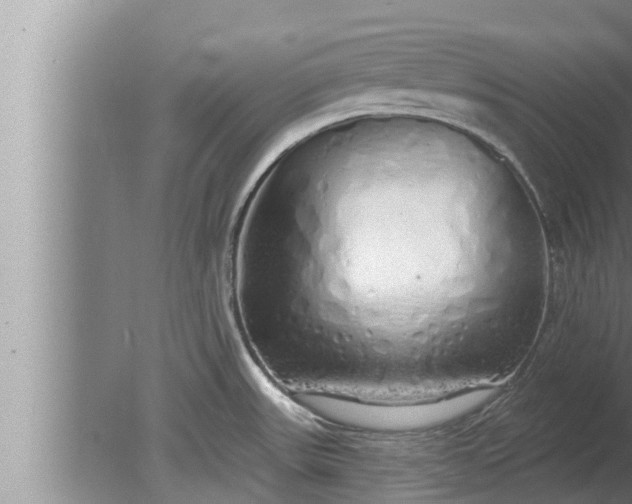 X0000080131531200612221844