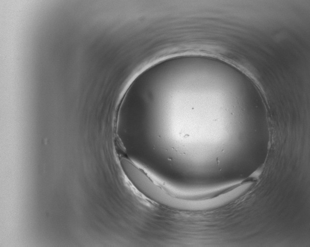 X0000080131532200612221844