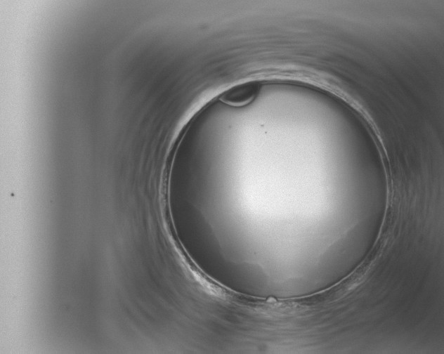 X0000080131533200612221844