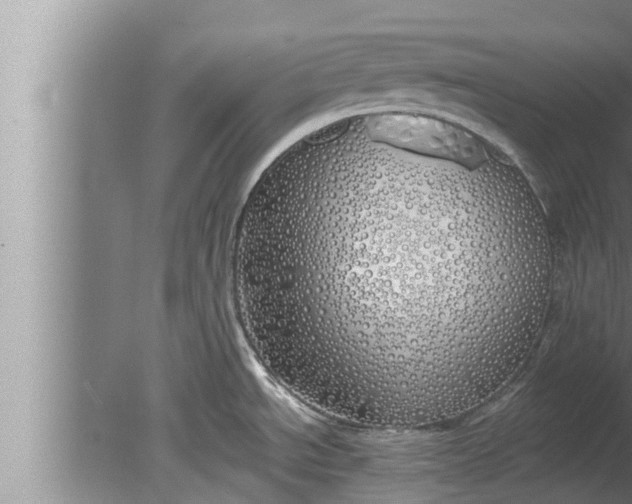 X0000080131534200612221844