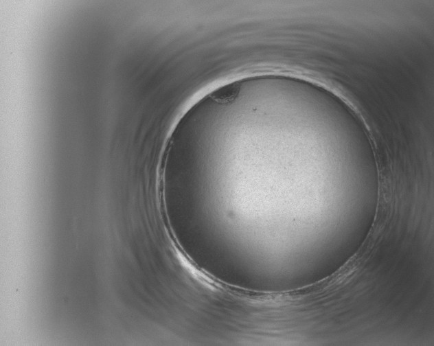 X0000080131535200612221844