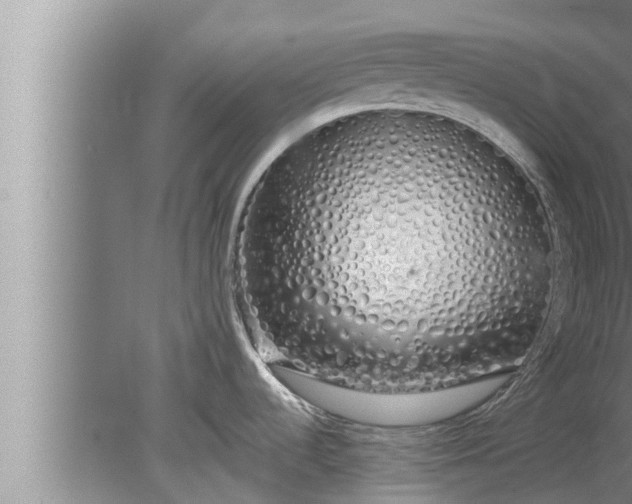 X0000080131536200612221844