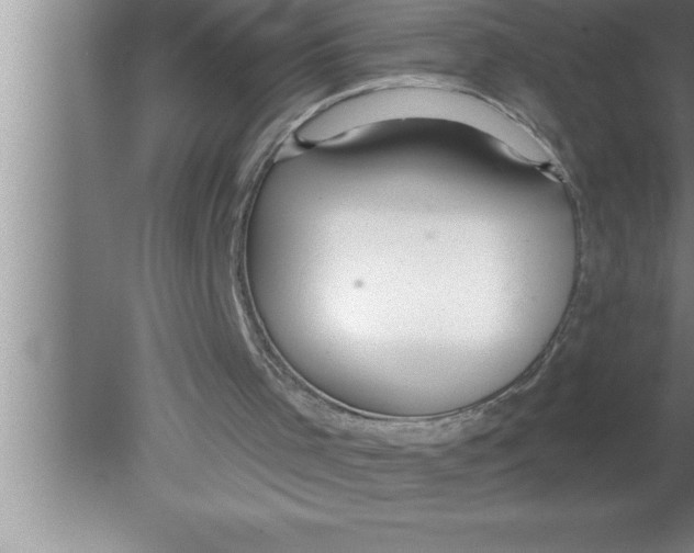 X0000080130001200612302048