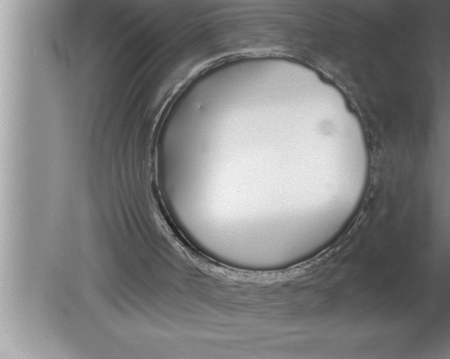 X0000080130002200612302048