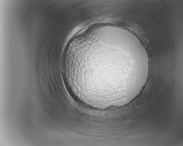 X0000080130003200612302048