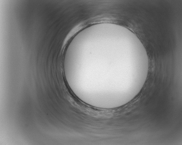 X0000080130004200612302048