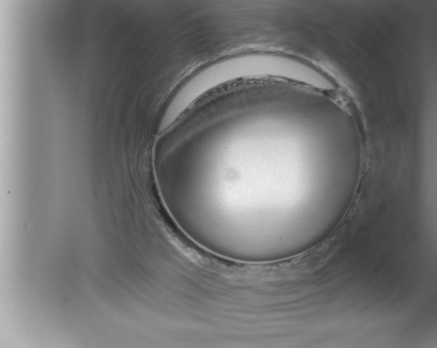 X0000080130009200612302048