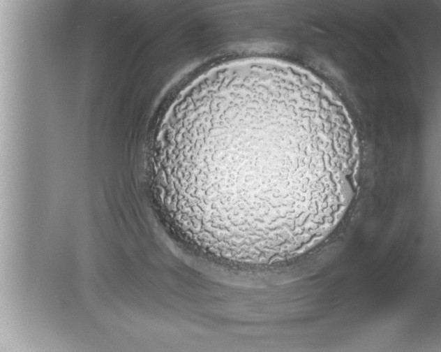 X0000080130012200612302048