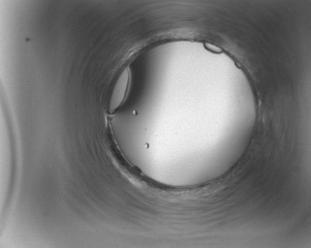 X0000080130013200612302048