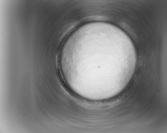 X0000080130014200612302048