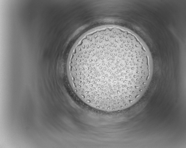 X0000080130016200612302048