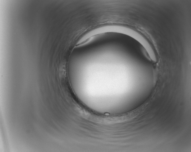 X0000080130017200612302048