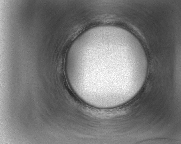 X0000080130018200612302048