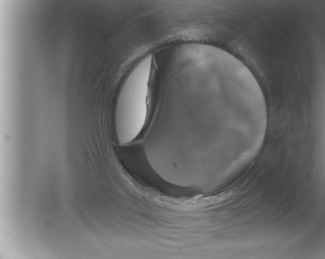 X0000080130019200612302048