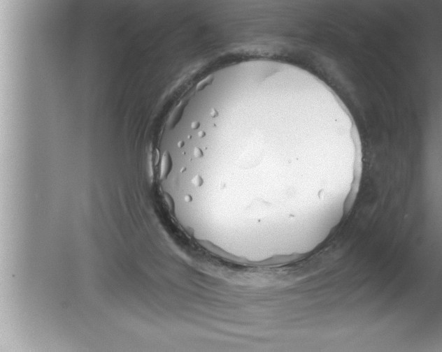 X0000080130020200612302048