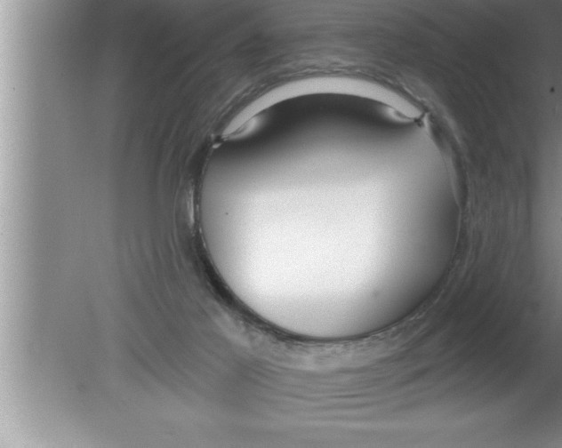 X0000080130021200612302048