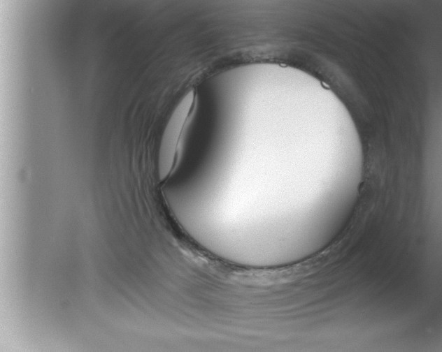 X0000080130025200612302048