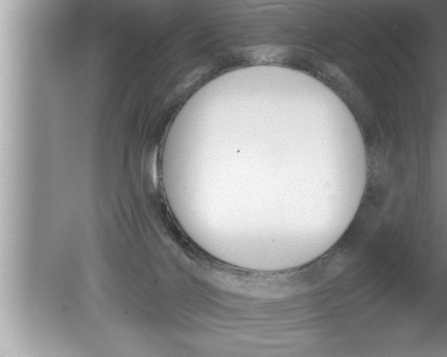 X0000080130028200612302047