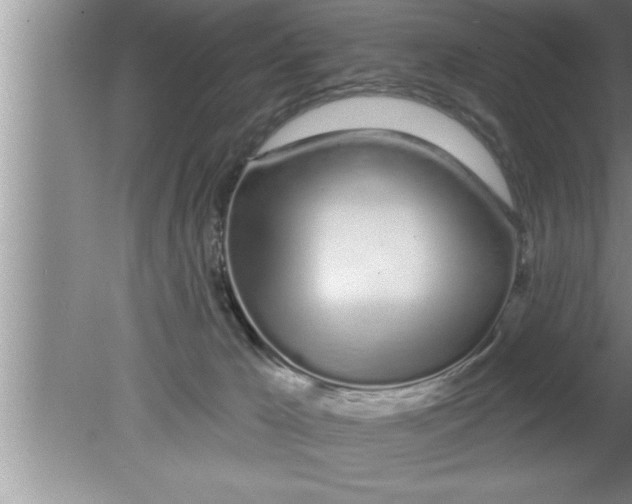 X0000080130029200612302047