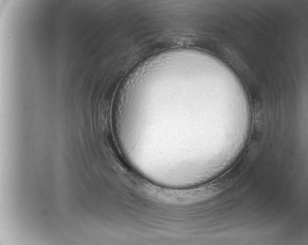 X0000080130030200612302047