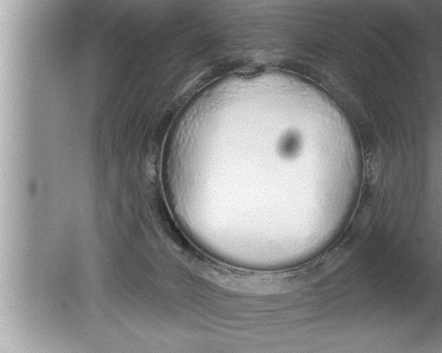 X0000080130032200612302047