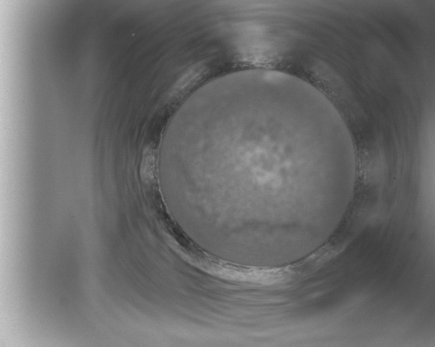 X0000080130036200612302047