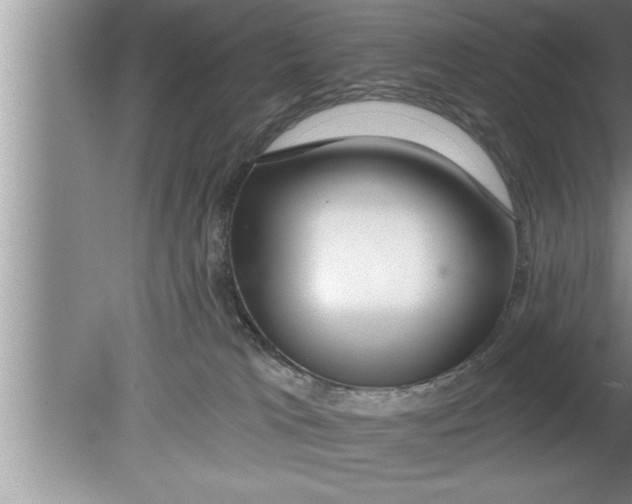 X0000080130037200612302047