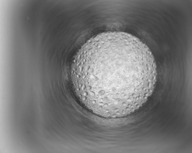 X0000080130038200612302047