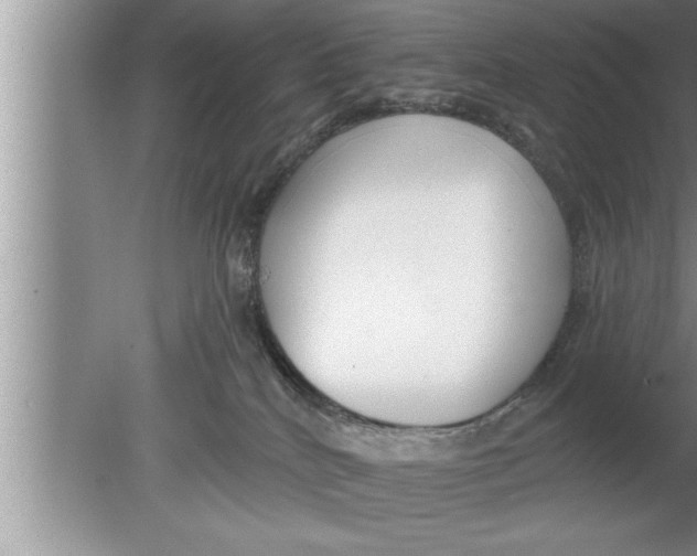 X0000080130040200612302047