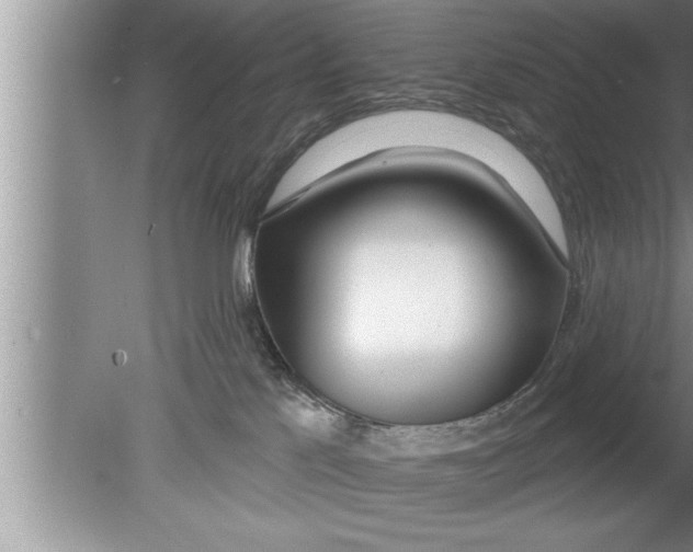 X0000080130041200612302047