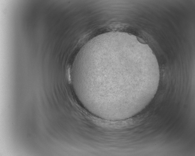 X0000080130042200612302047