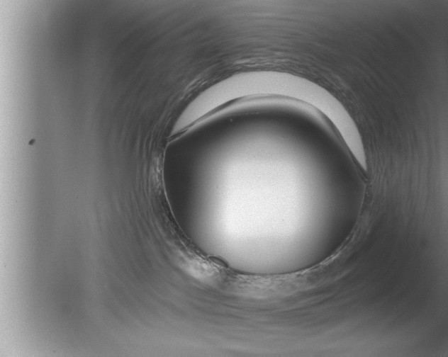 X0000080130045200612302047