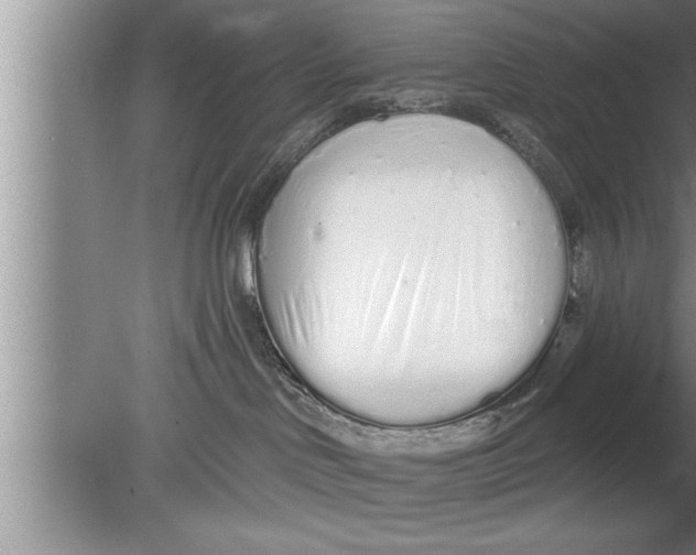 X0000080130046200612302047