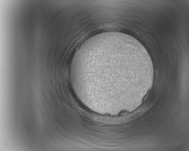 X0000080130048200612302047