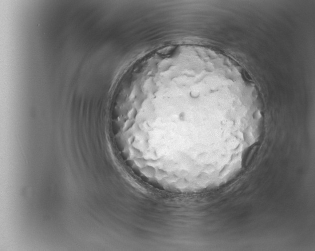 X0000080130049200612302046