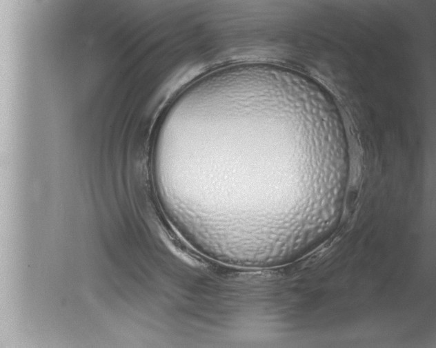 X0000080130050200612302046