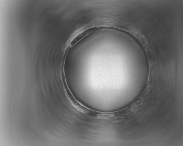 X0000080130051200612302046