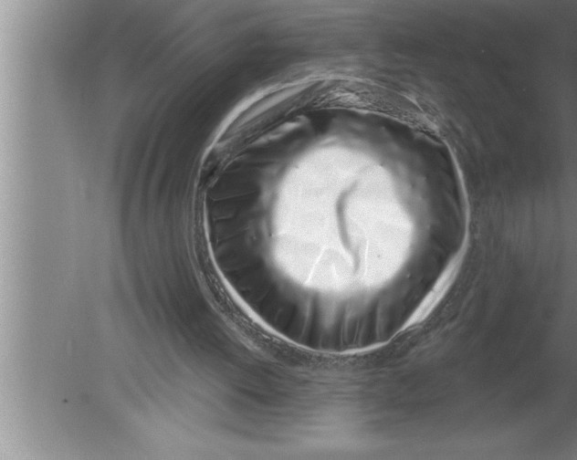 X0000080130052200612302046