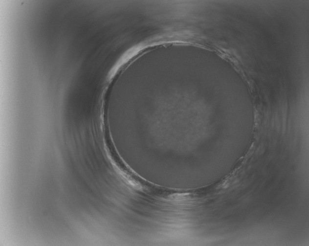 X0000080130054200612302046