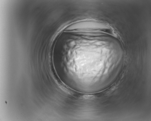 X0000080130055200612302046