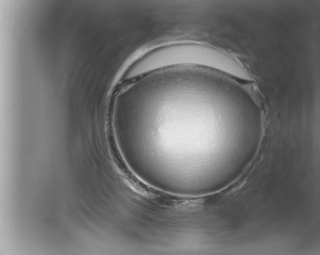 X0000080130056200612302046