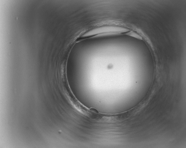 X0000080130057200612302046