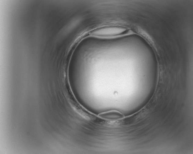 X0000080130059200612302047